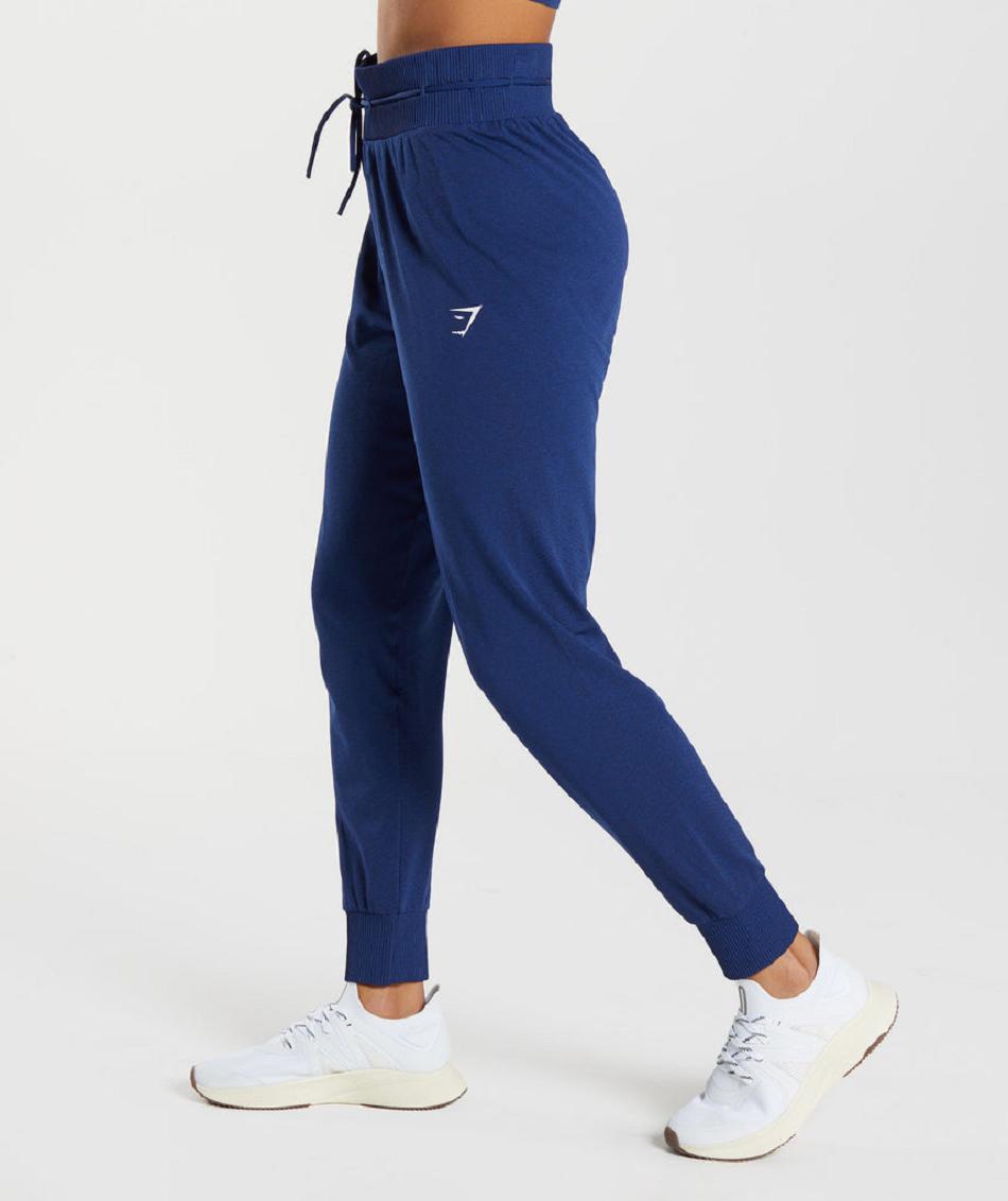 Pantalones Jogger Gymshark Vital Seamless 2.0 Mujer Azules | CO 2639QMA